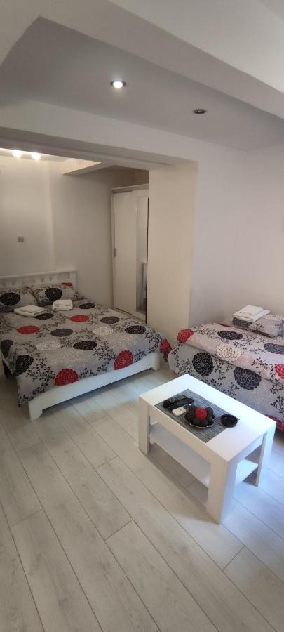 Studio Apartman Kocka 贝尔格莱德 外观 照片