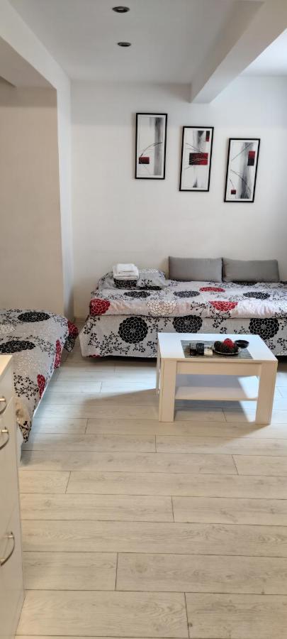 Studio Apartman Kocka 贝尔格莱德 外观 照片