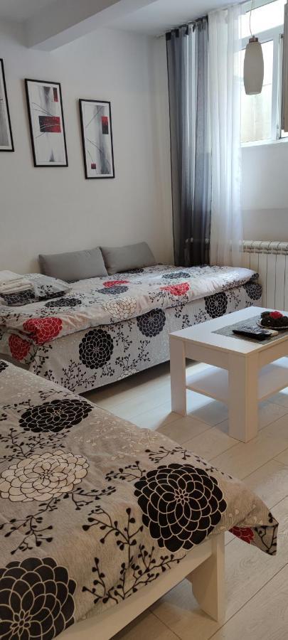 Studio Apartman Kocka 贝尔格莱德 外观 照片
