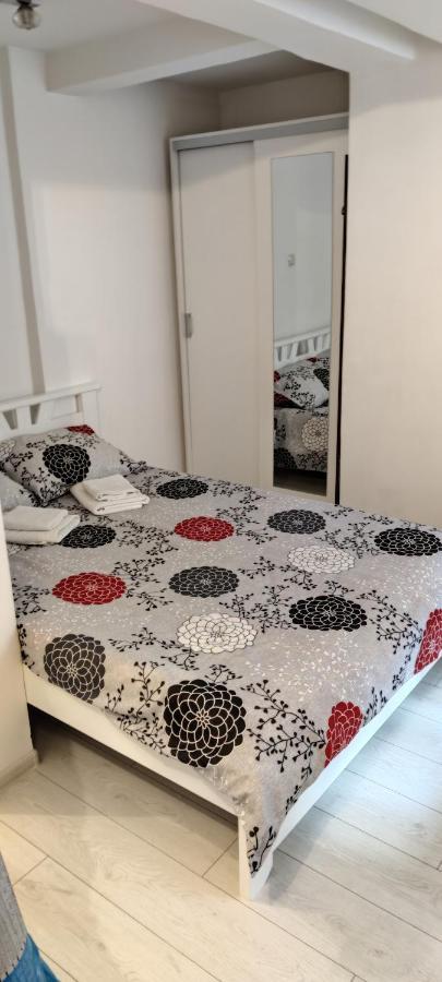 Studio Apartman Kocka 贝尔格莱德 外观 照片