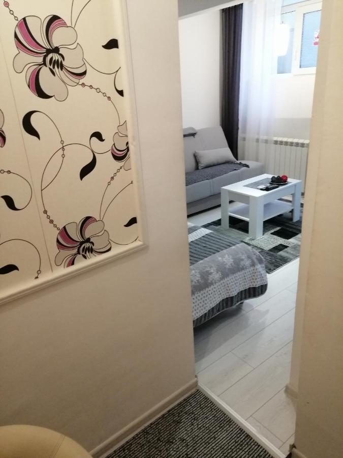 Studio Apartman Kocka 贝尔格莱德 外观 照片